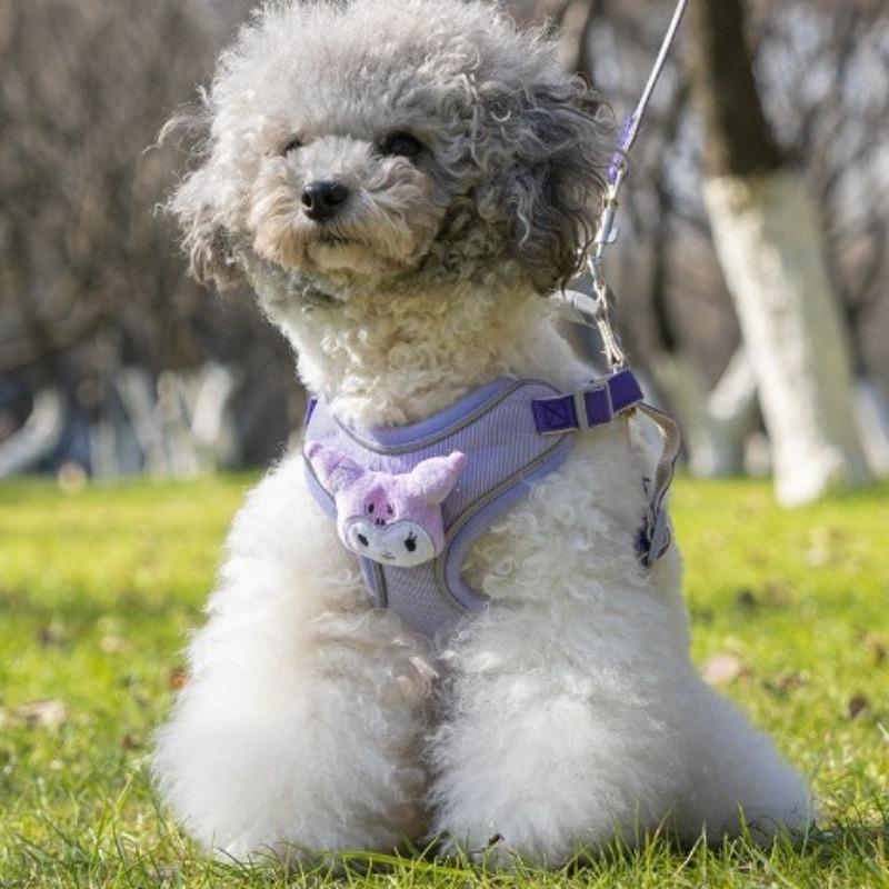 Dog Leash, Small Dog Leash, Chest and Back Strap, Bichon Frise Teddy, Cute Dog Walking, Pet Extendable
