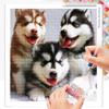5D DIY diamantová malba křížovým stehem Kruhová vrtačka Husky Diamond Mosaic Home Decor Paintings
