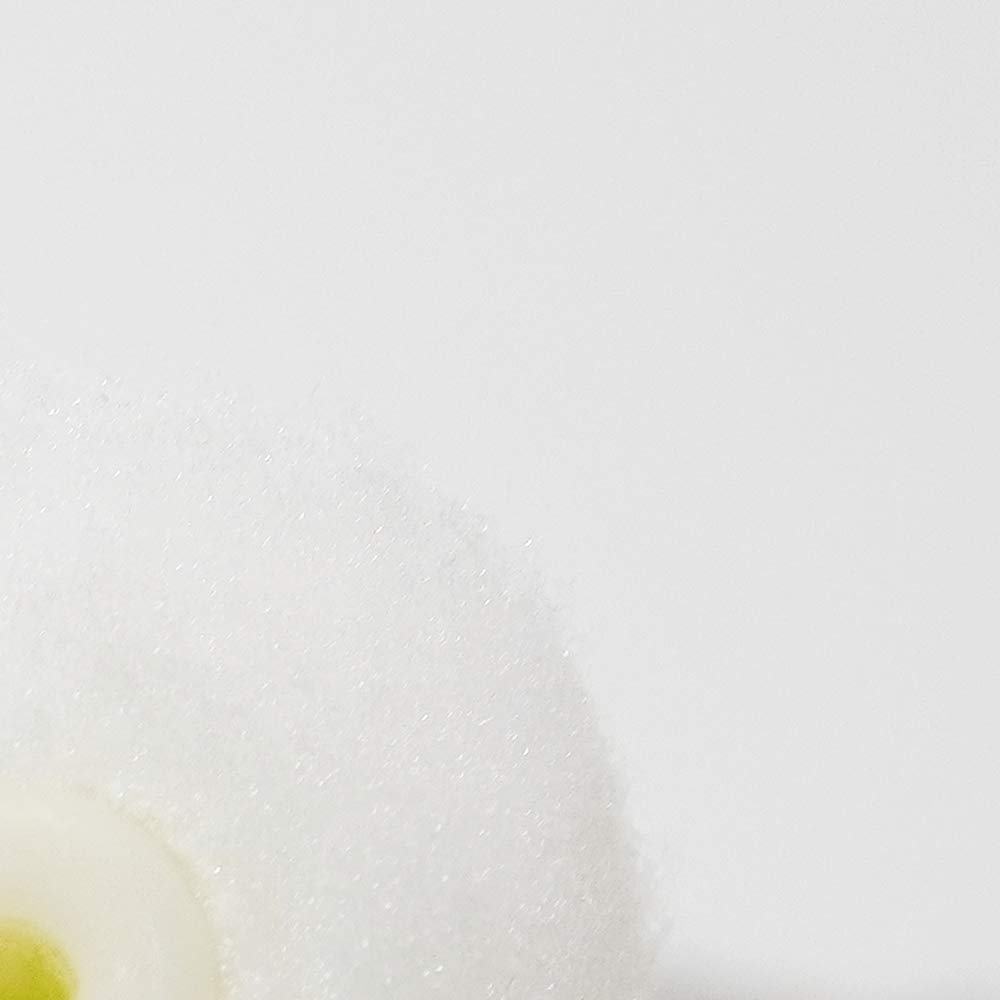 Hakeichi Mini Small Paint Roller Great Value Roller, White, 2-inch, 13mm, 10-Piece Set,