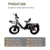 PULUMA SL001 Dual Motor Electric Cargo Trike, Dual Battery 48V 27Ah 7-Speed with Hydraulic Brakes