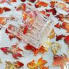 50/100PCS Koi Xianrui Transparent PET Decorative Stickers Set DIY Laptop Water Cup Bag Stamping Decorative Stickers