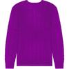 Polo Ralph Lauren Solid Logo Round Neck Long Sleeve Knit Sweater Men sweater Purple 710876762-025