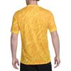 Nike Tottenham Hotspur 2024/25 Stadium Goalkeeper Men's Nike Dri FIT Soccer Short Sleeve Replica Jersey FN8804-720