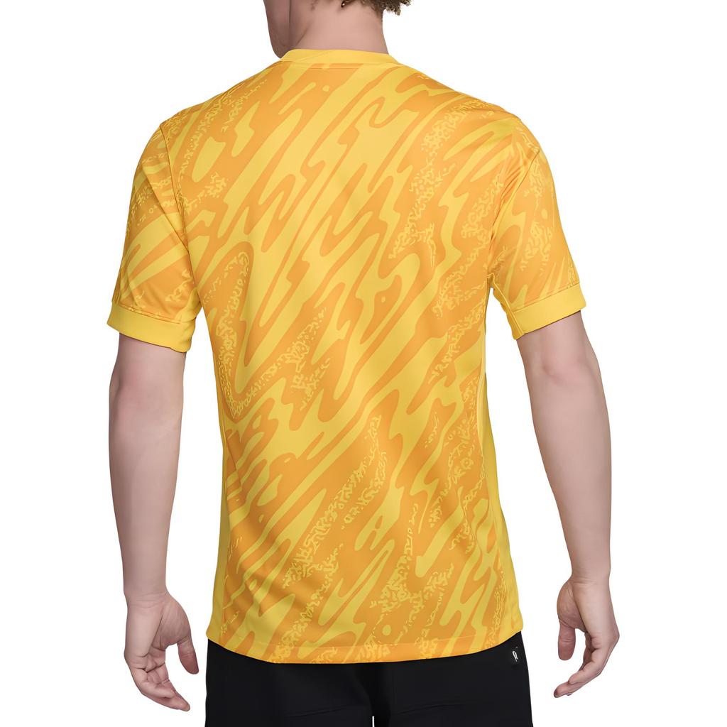 Nike Tottenham Hotspur 2024/25 Stadium Goalkeeper Men's Nike Dri FIT Soccer Short Sleeve Replica Jersey FN8804-720