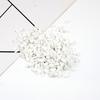 Hisenlee 500G Natural Crystal Aquarium Gravel Rocks Tumbled Crushed Stones Fountain Vase Planters Decorative Christmas New Year