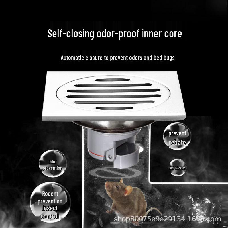 Stainless Steel Shower Floor Drain - Deodorant, Anti-Backflow, Insect-Proof for Bathroom & Laundry