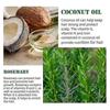 OUHOE rosemary hair thickening essential oil, prevents hair breakage and hair loss, strengthens and nourishes hair roots, and provides dense hair New 