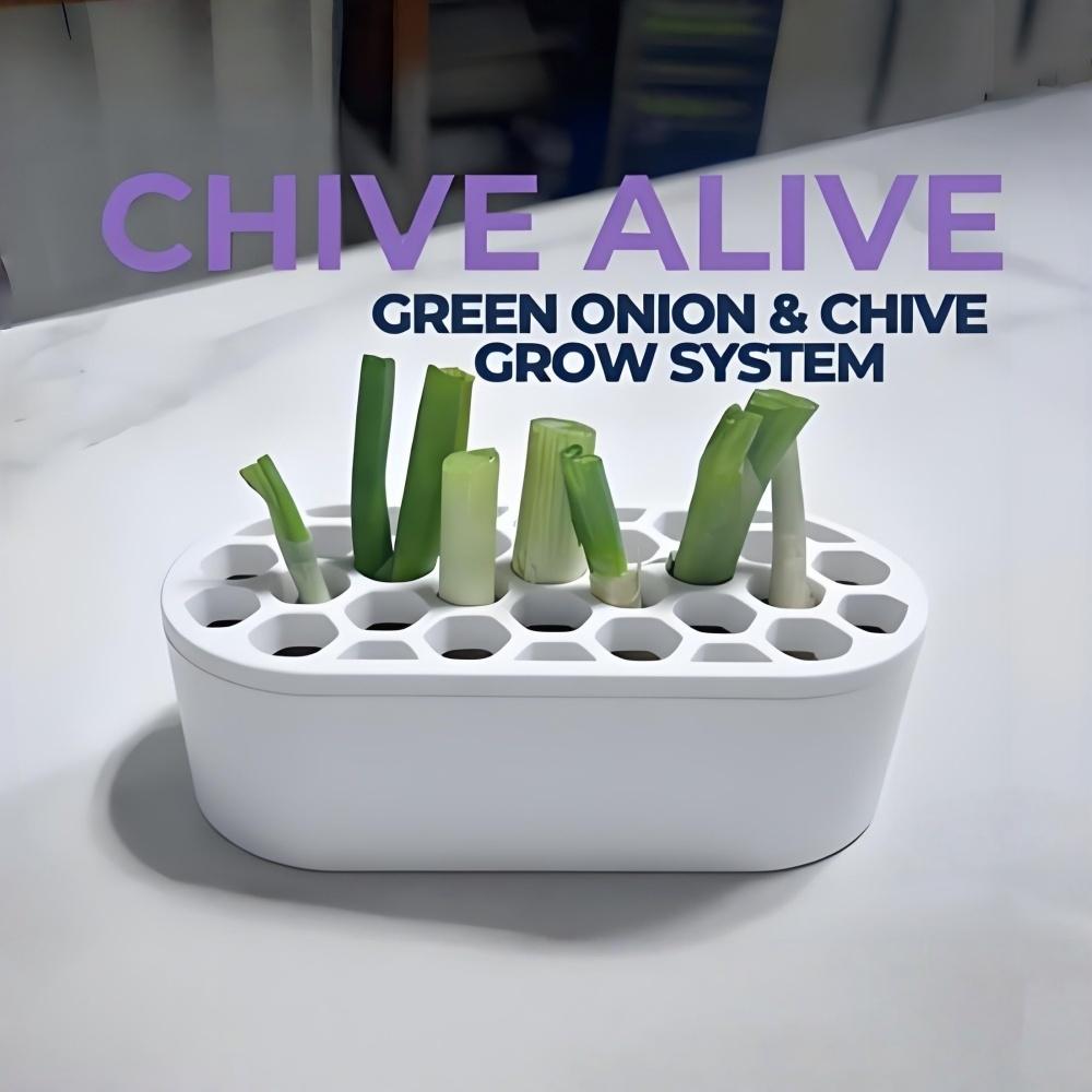 

Scallion Regeneration Set-no Skills, Easy to Grow Green Onions at Home Compact System for Balconies, Fast Regeneration of Green Onions 1PCS білий