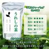 Ureshino Tea, Ureshinoen Tea, Cold Brew Tea Bags, 5g X 35 Tea Bags, Made In Saga, Japan, Suitable for Cold or Hot Brew, Green Tea, Sencha, Japanese