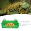 Suction Cup Reptile Feeder Escape Proof Reptile Feeding Food Water Bowl for     Bearded Dragon Green