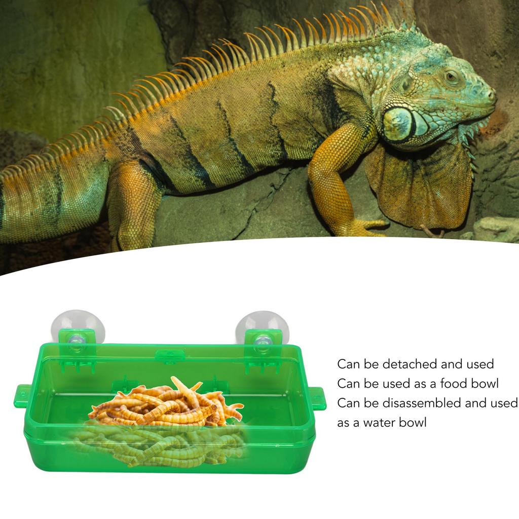 Suction Cup Reptile Feeder Escape Proof Reptile Feeding Food Water Bowl for Bearded Dragon Green