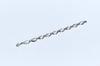 Over The Line P.O.C Lens Bracelet (Small)