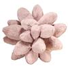 25cm Lifelike Succulent Plants Plush Stuffed Toys Soft Doll Creative Potted Flowers Pillow Chair Cushion for Girls Kids Gift