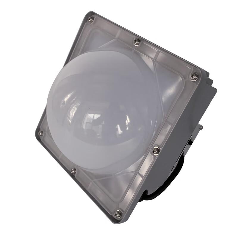 Ocean King NFC9192NT Platform Light