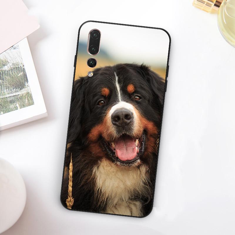 

Bernese Mountain Dog For Huawei Nova 5T 9 10 SE 7i 8i 11i 12i Y73 Y90 Y70 Y72 Y61 Y91 Y60 P20 P40 P30 Lite Case Huawei Nova 12s