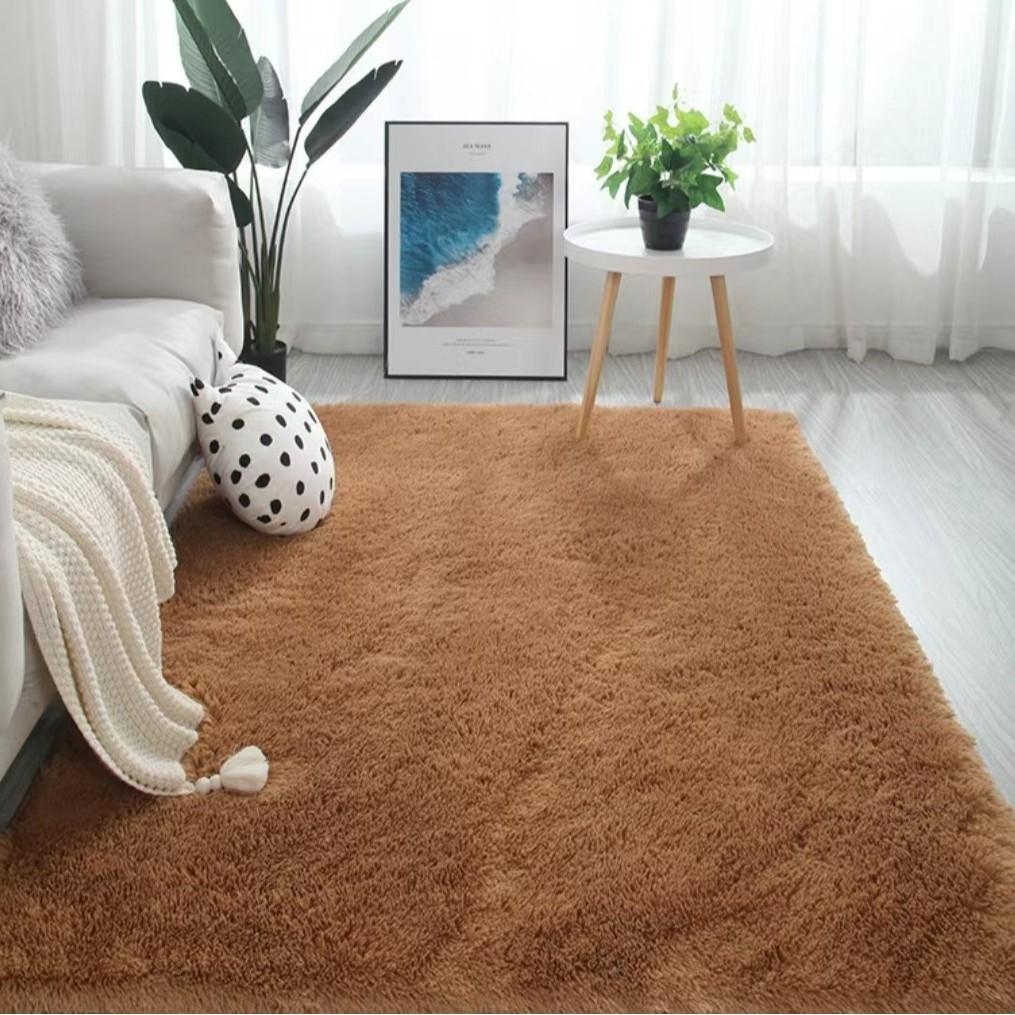 Nordic Ins Carpet Home Plush Blanket Sofa Room Living Room Wholesale Silky Girl Bedroom Bedside Mat
