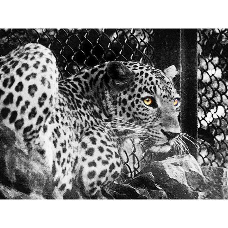 5D DIY Diamantmalerei Tier Kreuzstich Handwerk Vollrunde Bohrer Diamantstickerei Heimdekor Geschenk