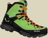 Hiking Shoes Salewa MS Mountain Trainer 2 Mid GTX (61397) Pale Frog/black