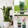 Plant Climbing Pergola Fixed Support Wire Tomato Rose Climbing Frame Round Plastic-Coated Garden Supplies Three Ring Iron Frame