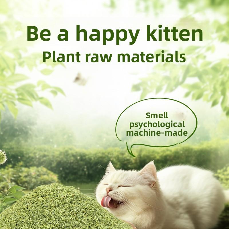 Catnip Powder Is Edible. Catnip Plant Fine Powder Can Be Used To Fill Cat ToysCat Snacks and Is Suitable for Adult Cats