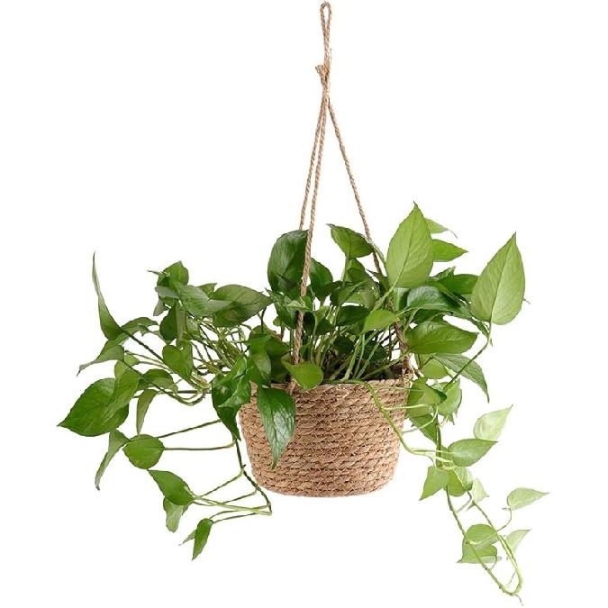 WYSRJ 8inch Jute Rope Hanging Planter Woven Plant Basket Macrame Plant Hangers Plant Holder Basket Decorative Storage Baskets for Plants Pots Home