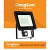 10W 20W 30W 50W 100W Induction Led Flood Light With Adjustable PIR Sensor 110V 220V Floodlight Street Square Outdoor Lighting