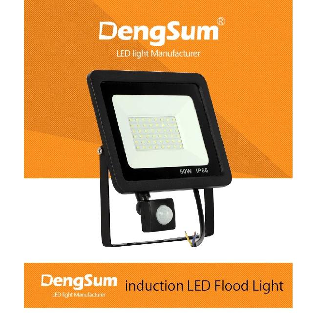 10W 20W 30W 50W 100W Induction Led Flood Light With Adjustable PIR Sensor 110V 220V Floodlight Street Square Outdoor Lighting