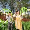 Ins Xiaohongshu DIY Blumen-Ballonstrauß-Set für Kinder - Japanische & Koreanische Partyballons