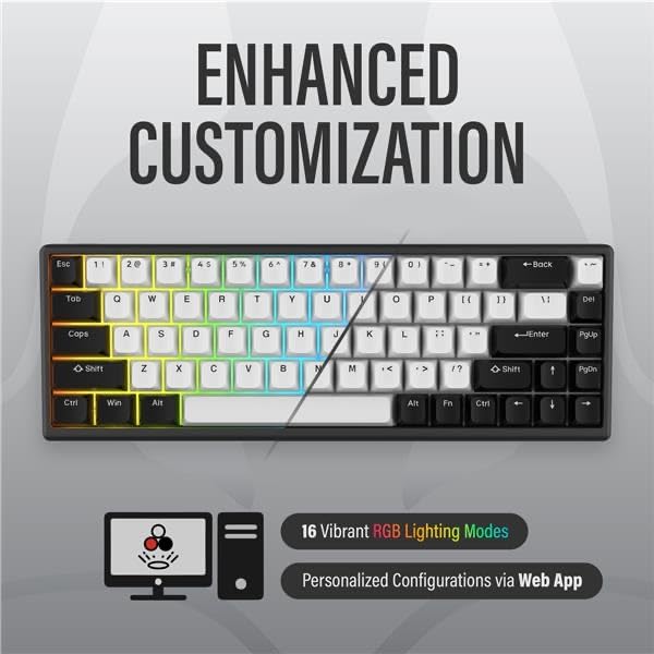 Arbiter Studio Gaming Rapid Trigger Magnetic TENKO Polar 65 Aluminum Official Japanese Distributor Warranty Keyboard, Compatible, Switches, + Frame,