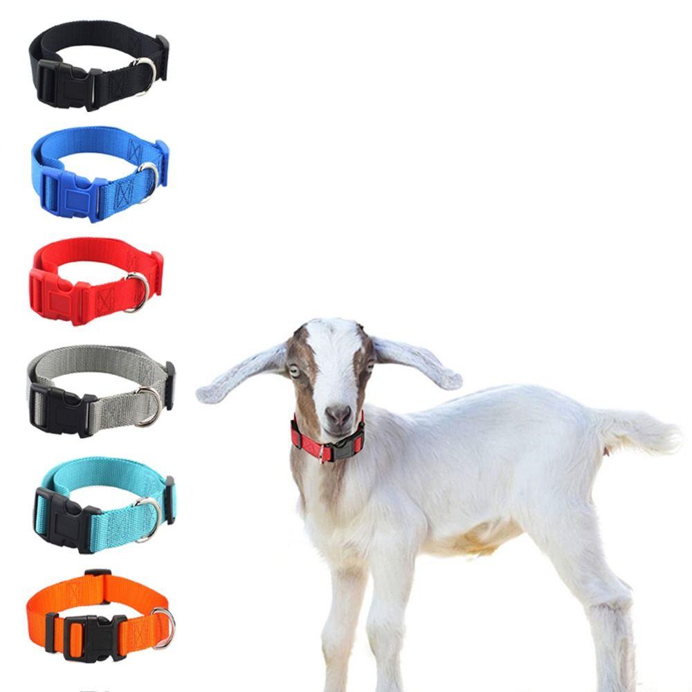 

Heavy Duty Clip Buckle Pet Collars Nylon Webbing Dog Collar Dog Training Collar Walking L синий