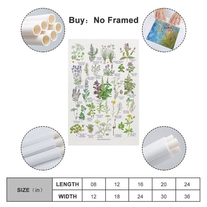 Samsung Galaxy A56 5G 8 Go/256 Go Gris (Awesome Light Grey) Double SIM SM-A566