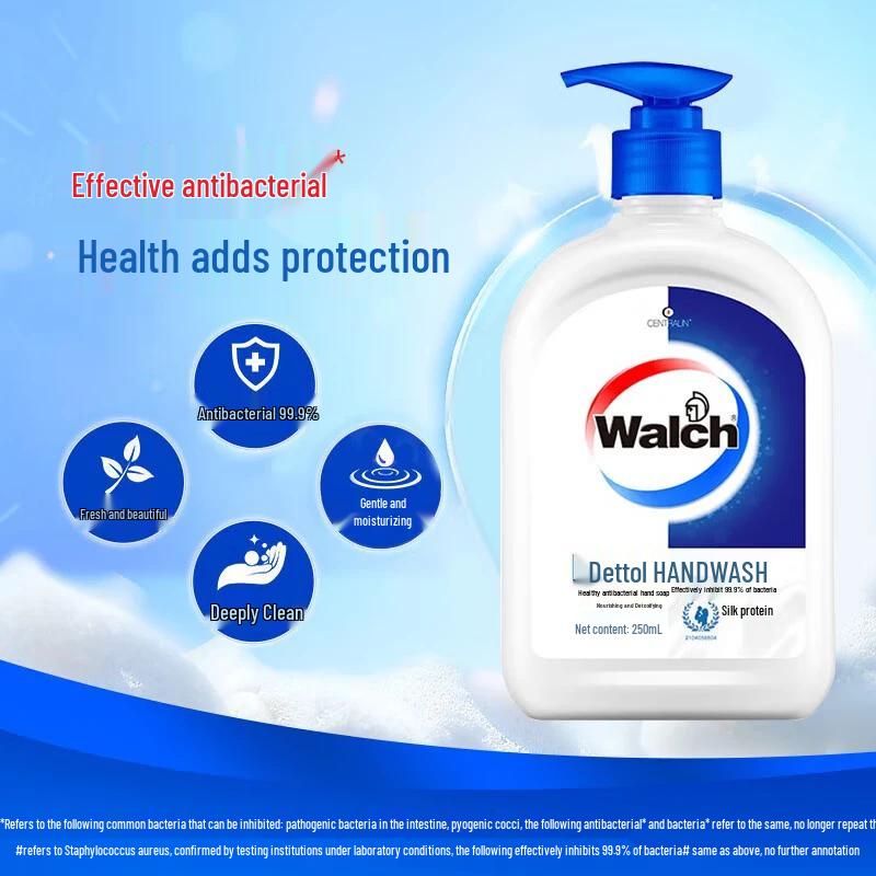 Walch Household Disinfectant & Hand Wash Combo Set