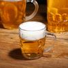Imitation Glass Beer Mug Transparent Drinking Cup Durable Water Tumbler  Restaurant