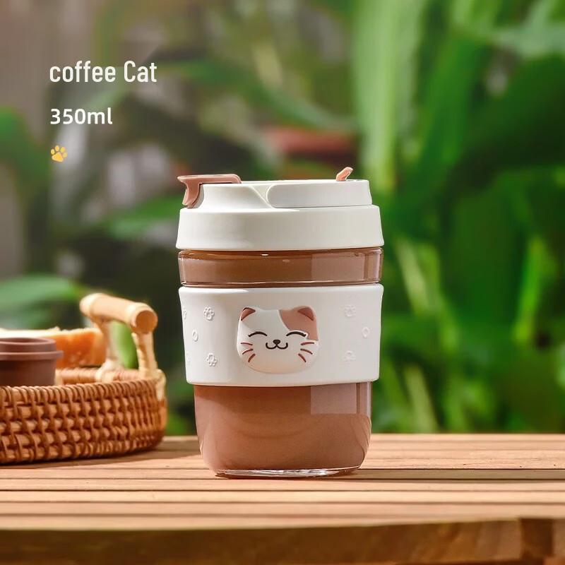 Vanow Portable Glass Water Bottle with Straw 350ml