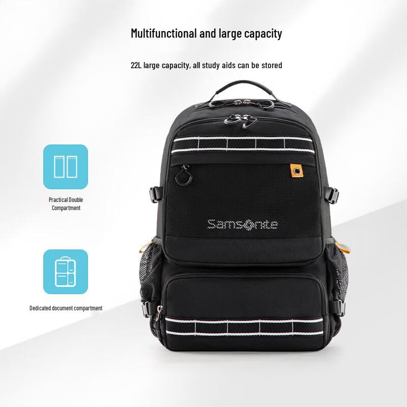 Samsonite NW4*09002 Laptop Backpack