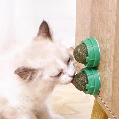 Kedi – Kedi Oyuncakları