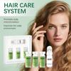 Hair Regrowth System - Advanced Hair Growth Treatment with Ginseng, Eclipta Prostrata, Peppermint Oil & Ginger Root, Thickening Serum, Micro Needle Ha