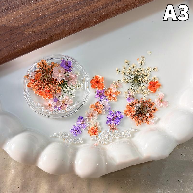 

1 Box Mixed Dried Flower Pearl Nail Decoration Jewelry Natural Flower And Leaf Stickers 3D Nail Art Design Polished Nail Art A3