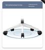 Ergonomic Lumbar Support Office and Home Chair for Long Sitting