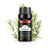 Poven Rosemary Essential Oil 100% Natural Rosemary Essential Oil Natural Aroma Oil for Aroma Diffuser 10ml Rosemary Essential Oil