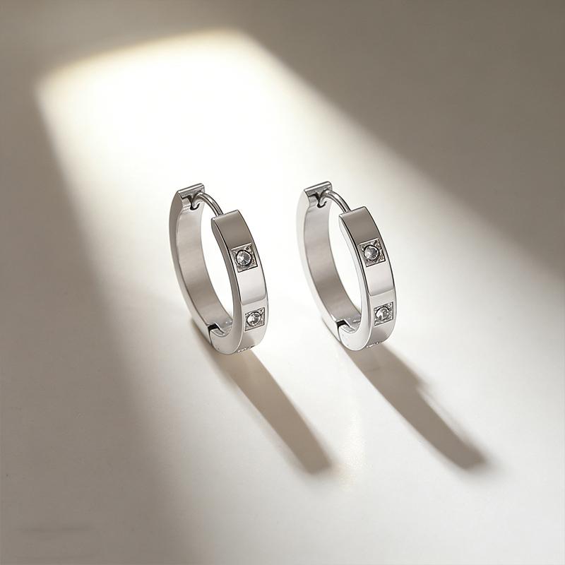

Women s Buckle Style Stainless Steel Earrings with Micro Inlaid Zircon Jewelry, Fashionable European and American Design