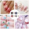 Japanese Style Nail Charms Nail Designs Nail Charms Dried Flower Nails Art Charms Nails Art Decorations for Weddings