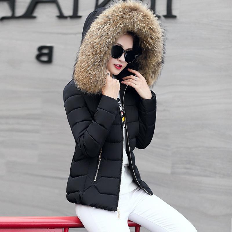 Womens Short Slim Quilted Winter Coat With Fur Hooded Collar And Stylish Design