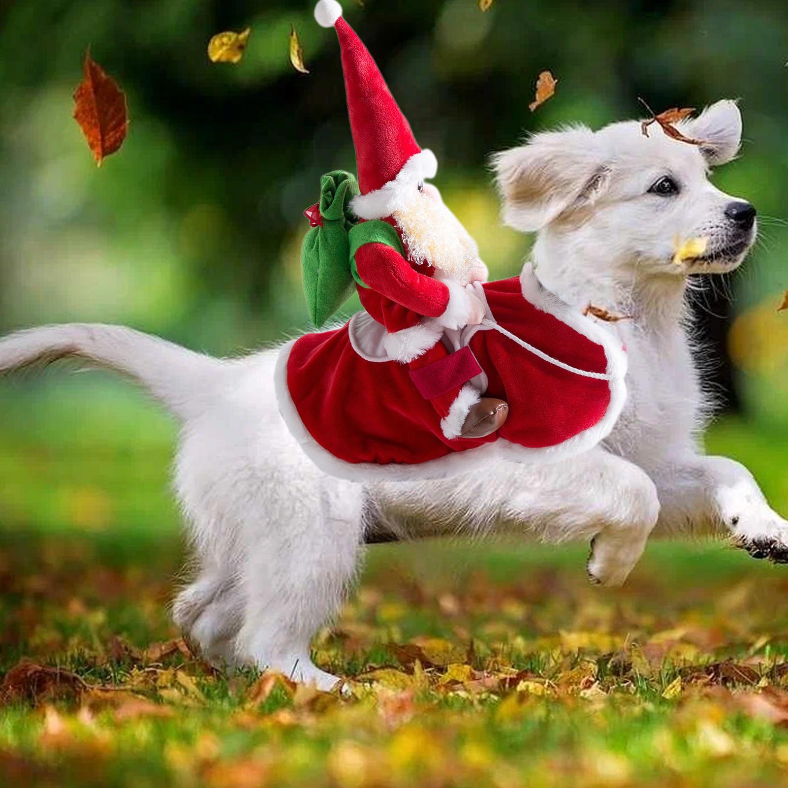 

Santa Dog Costume Christmas Winter Christmas Santa Dog Costume Pet Accessories For Park Outdoor Lawn Home Room Walking Birthday M