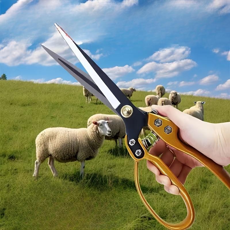 Best Selling Multi Purpose Scissors: Large Size for Trimming Pet Hair, Home Use, Lawn Care , Sharp Manganese Steel with Ergonomic Handle Design