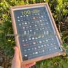 100 Natural Mineral Ornament Specimens - English Version for Geological Home Decor