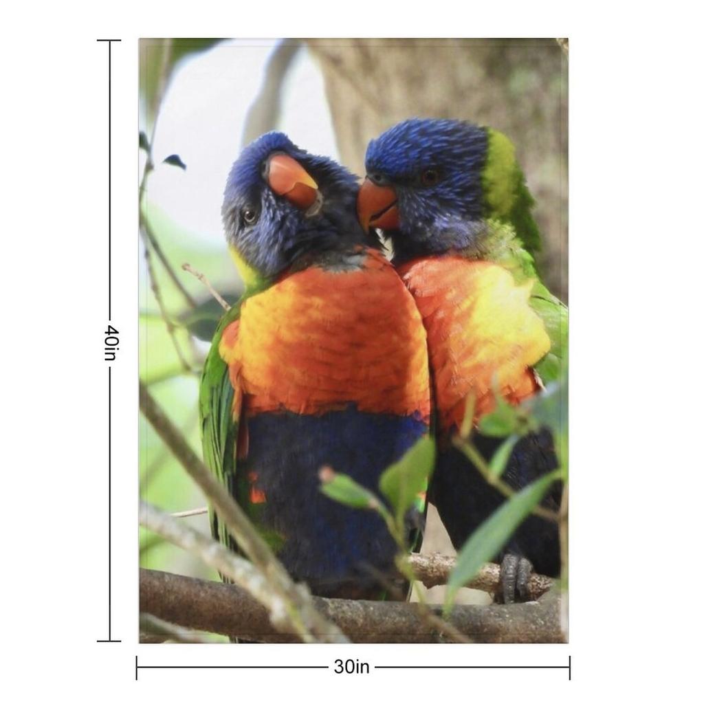 Bird Kiss Rainbow Lorikeets Throw Blanket Blankets For Bed Thermals For Travel Furrys blankets ands Blankets