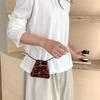Neck leopard print bag autumn and winter new lipstick earphone bag trendy fashion bundle crossbody mini bag