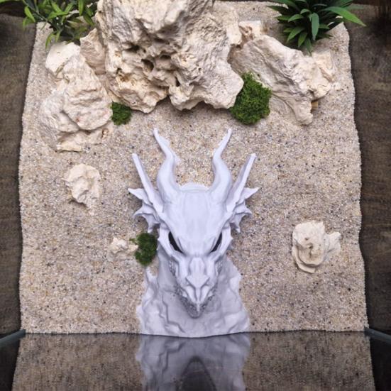 Drachen-Design Aquarium-Höhle 3D-gedruckter Fischtunnel Versteck unter Kies Tunnel mit Sichtfenster