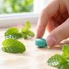 Pastiglie Repellenti per Roditori 12 Pezzi Ingredienti Naturali Non Tossiche Controllo dei Parassiti per Uso Interno ed Esterno Repellente per Roditori Sicuro ed Efficace